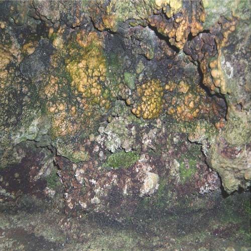 Elemental Disgrace cover art