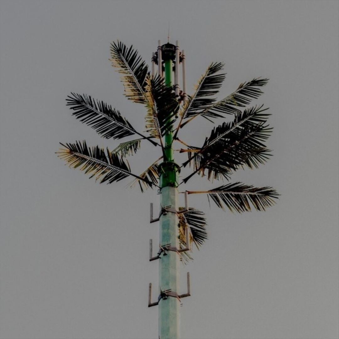 Concrete Mimosa cover art