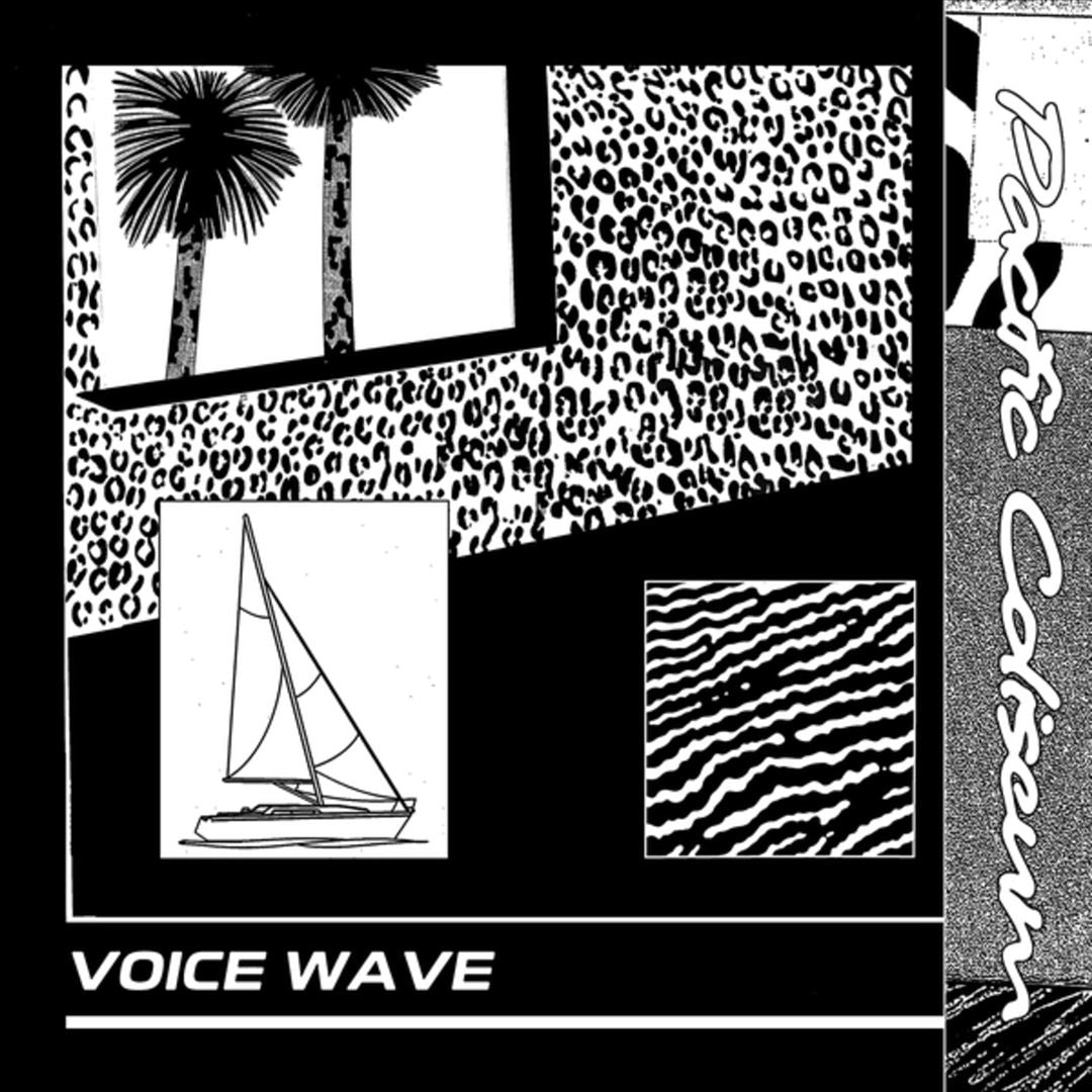 Voice Wave cover art