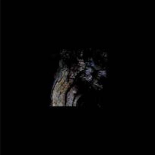 Garden of Perpetual Dreams cover art