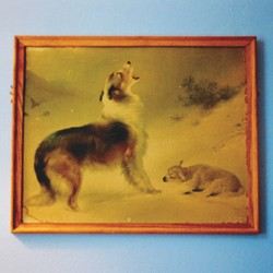 Rescue cover art