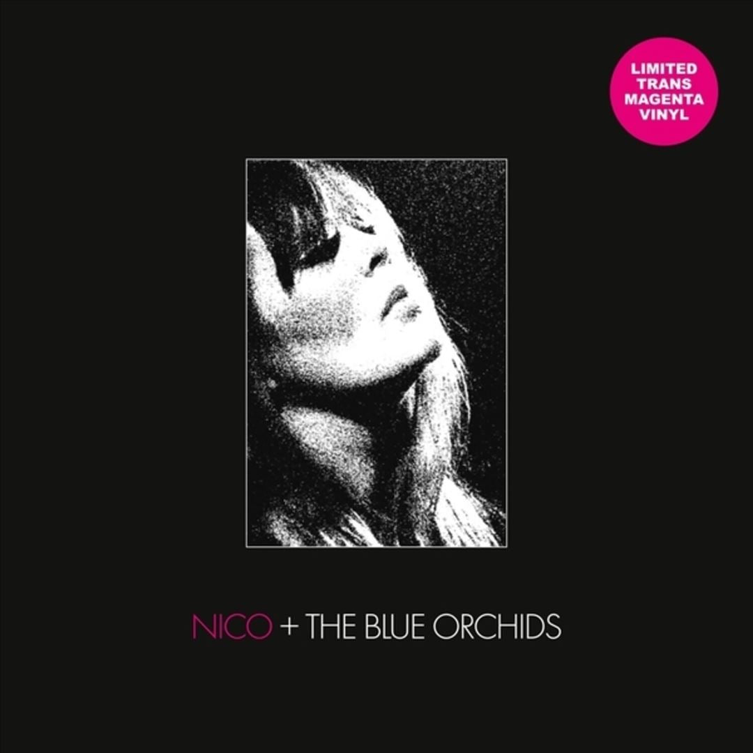 Live and in Session, 1982 cover art