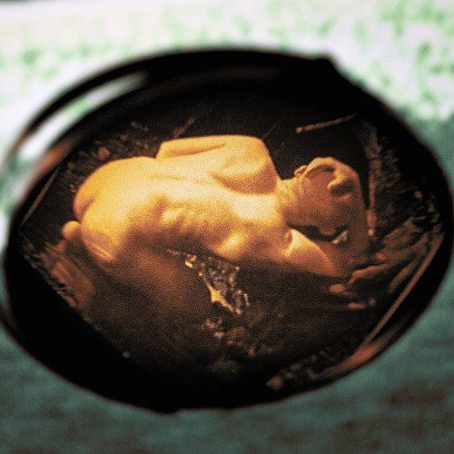 Sheltering Water cover art