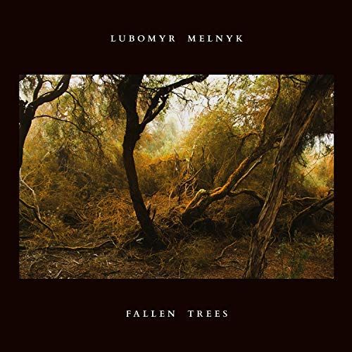 Fallen Trees cover art