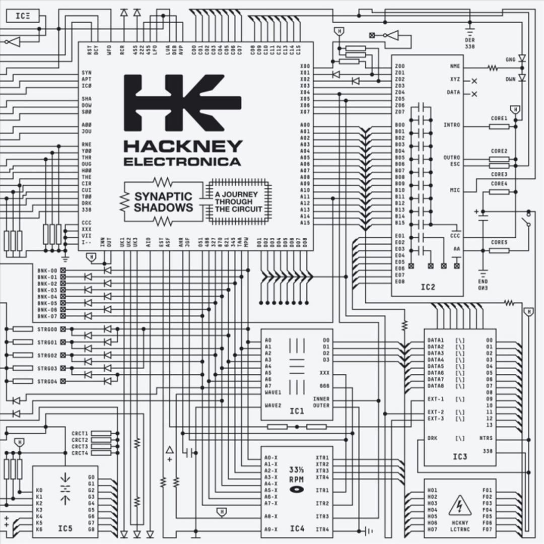 Synaptic Shadows cover art