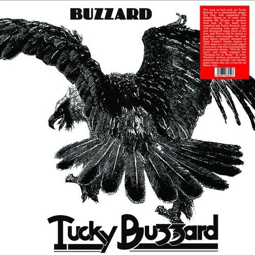 Buzzard cover art