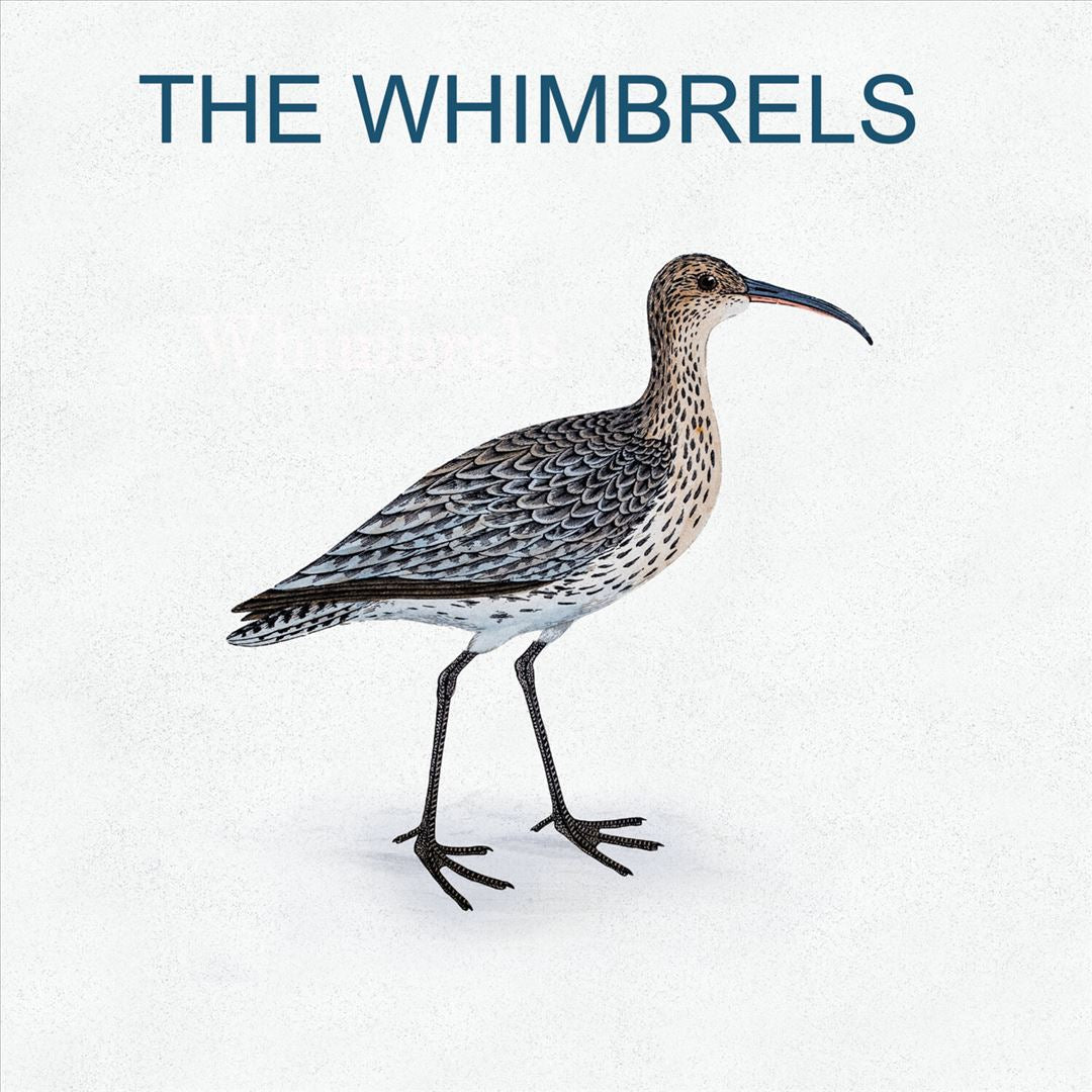 Whimbrels cover art