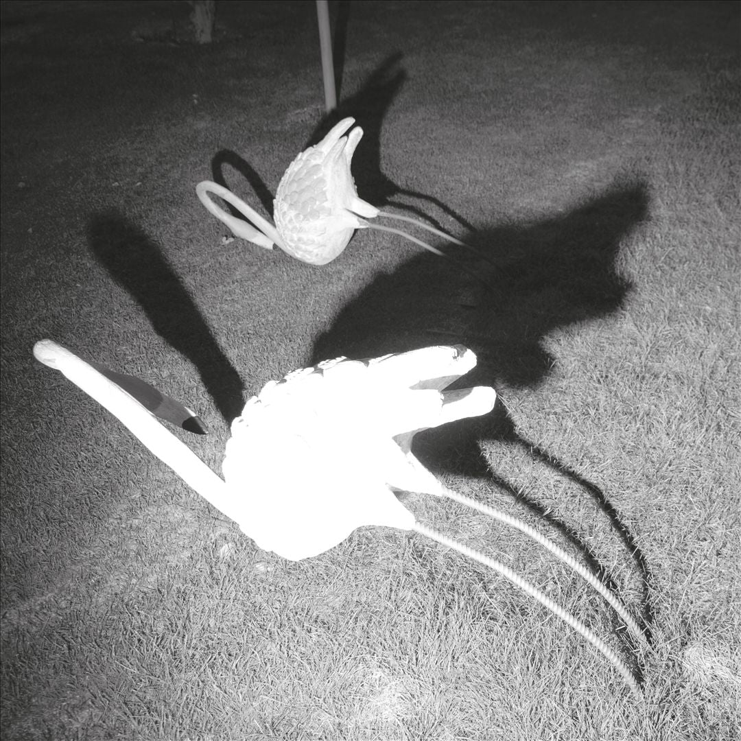 Mimesis of Nothingness cover art