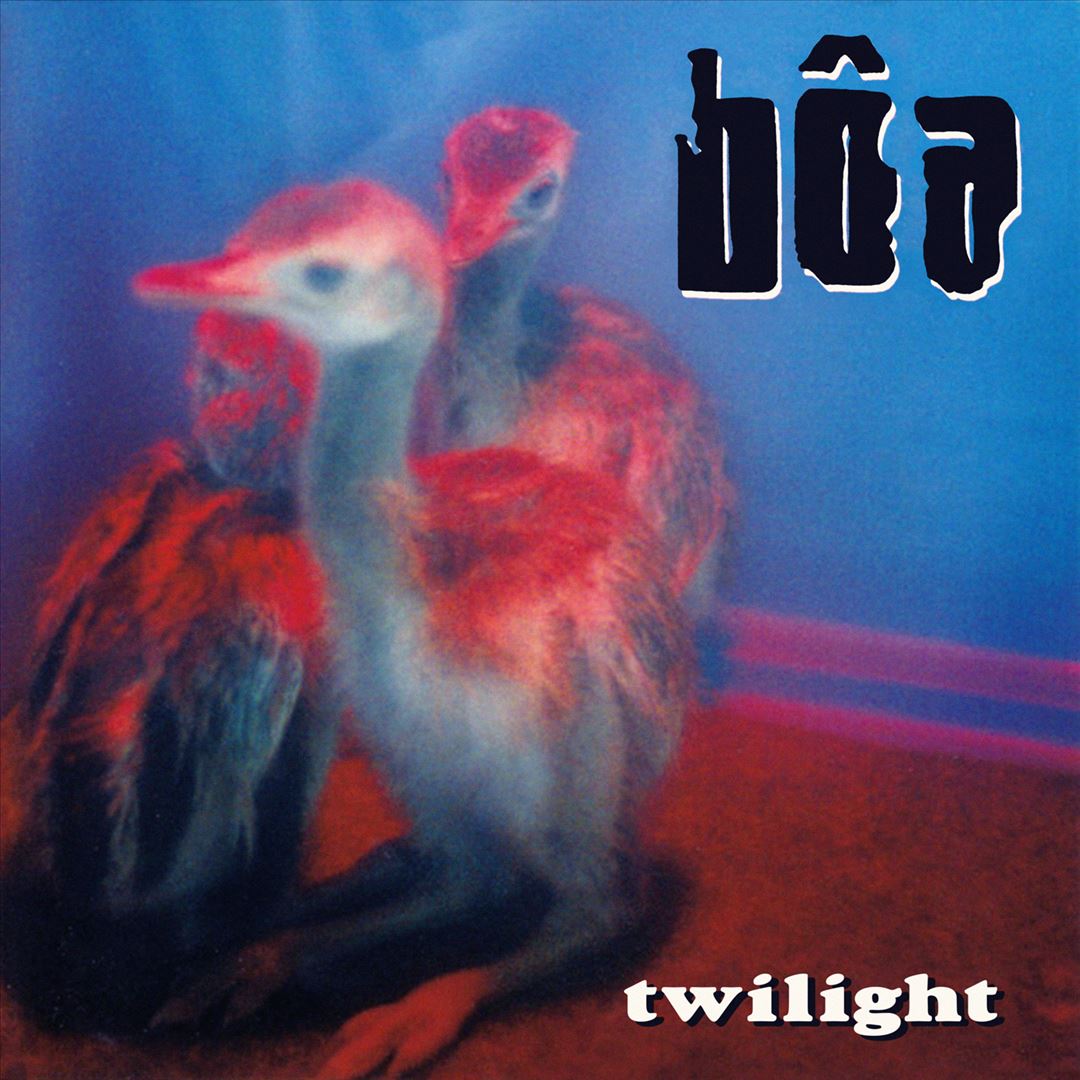 Twilight cover art