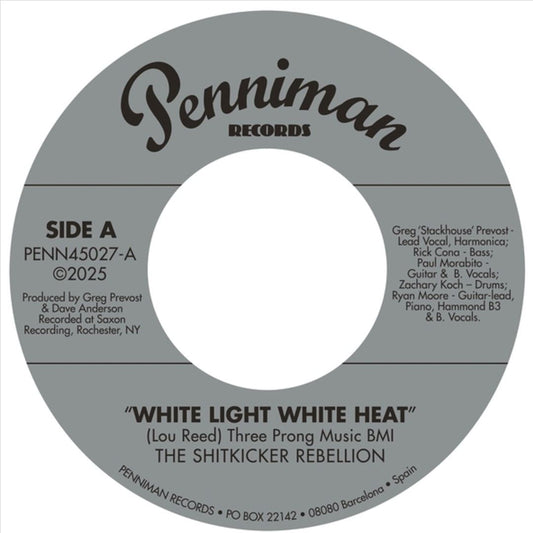 White Light White Heat/99th Floor   cover art