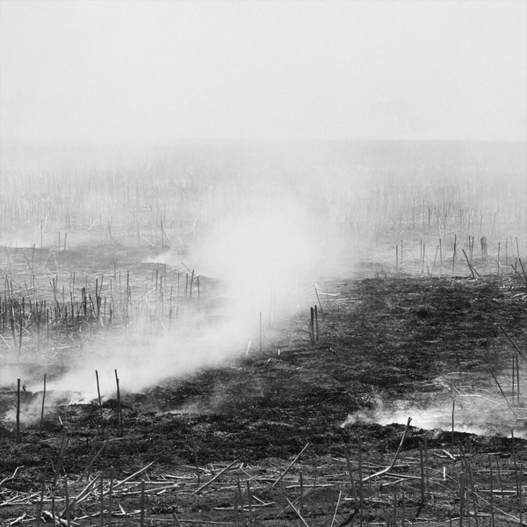 Empty, Expanding, Collapsing cover art
