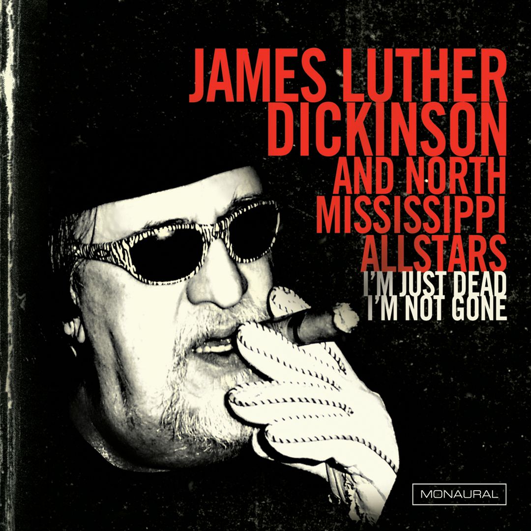 I'm Just Dead, I'm Not Gone cover art