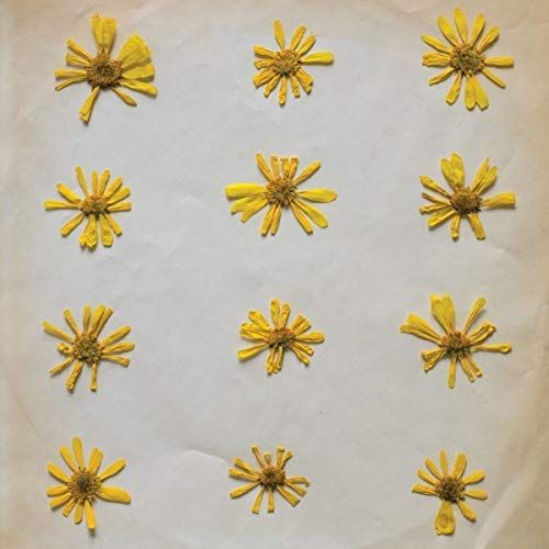 Flowers in the Spring cover art