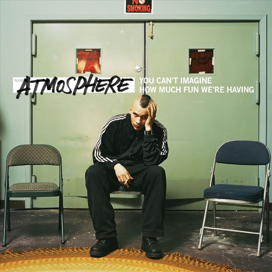 You Can't Imagine How Much Fun We're Having cover art