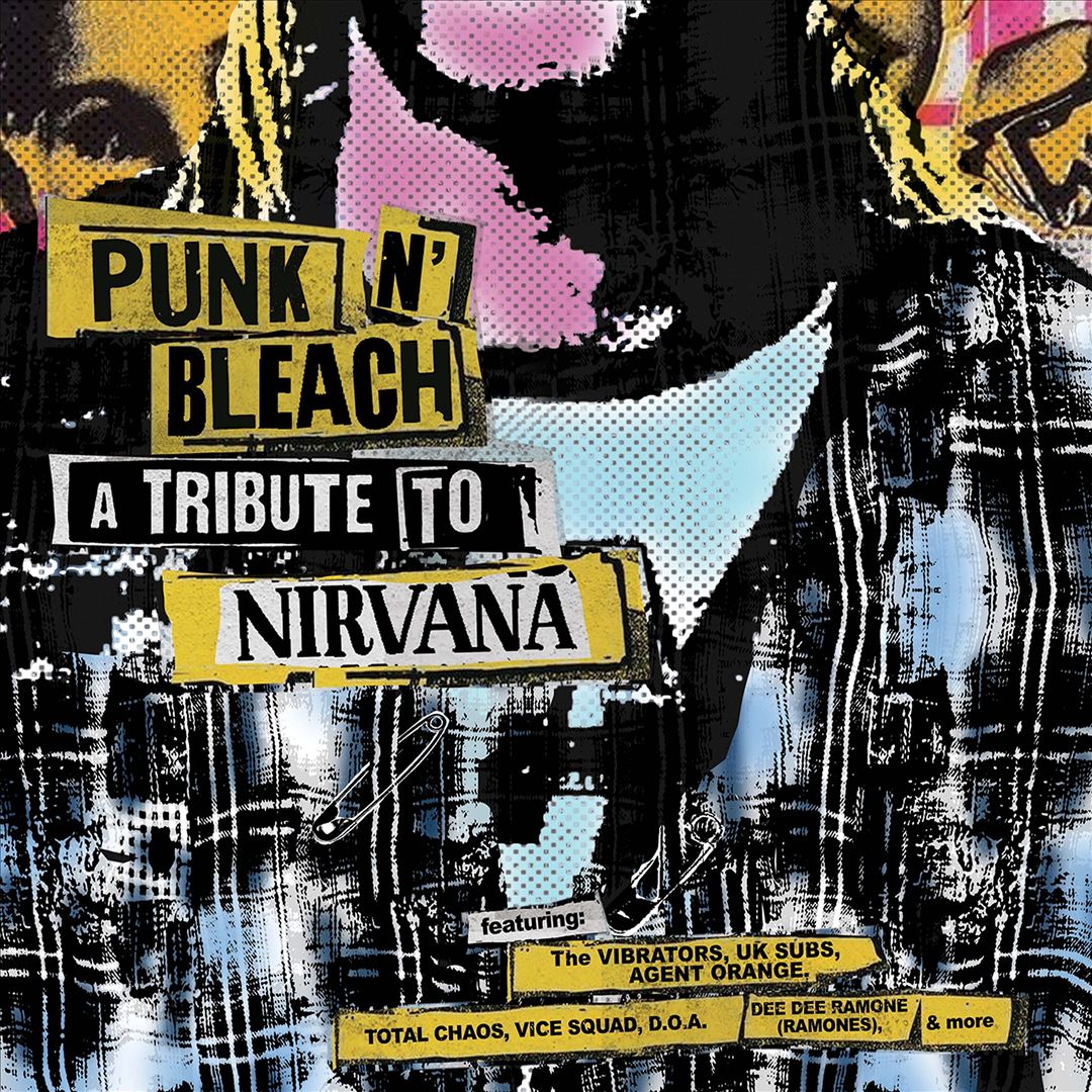 Punk N' Bleach: A Punk Tribute to Nirvana cover art