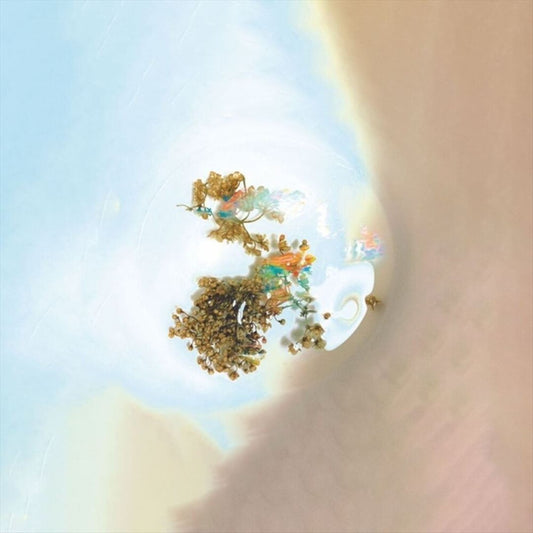 Things We See When We Look Closer cover art