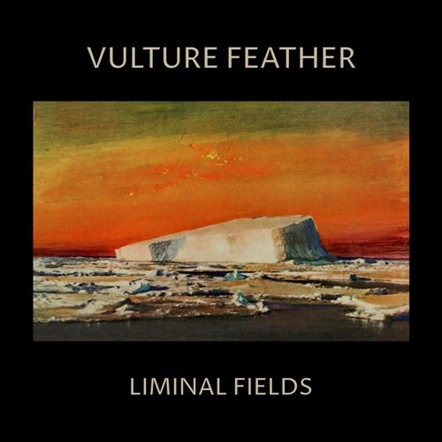Liminal Fields cover art