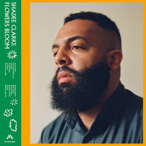 Flowers Bloom cover art