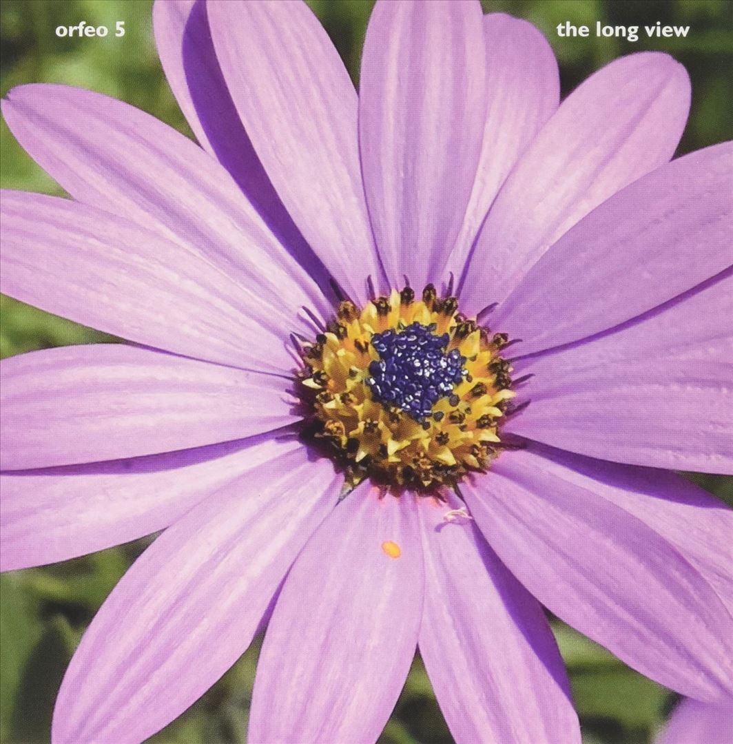 Long View cover art