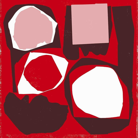 Mr. Bongo Record Club, Vol. 5 cover art