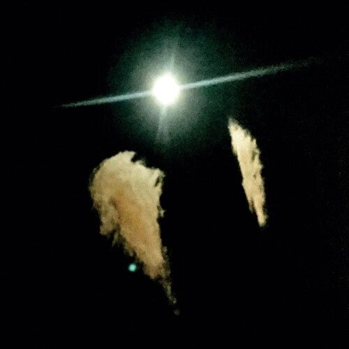 Forever cover art