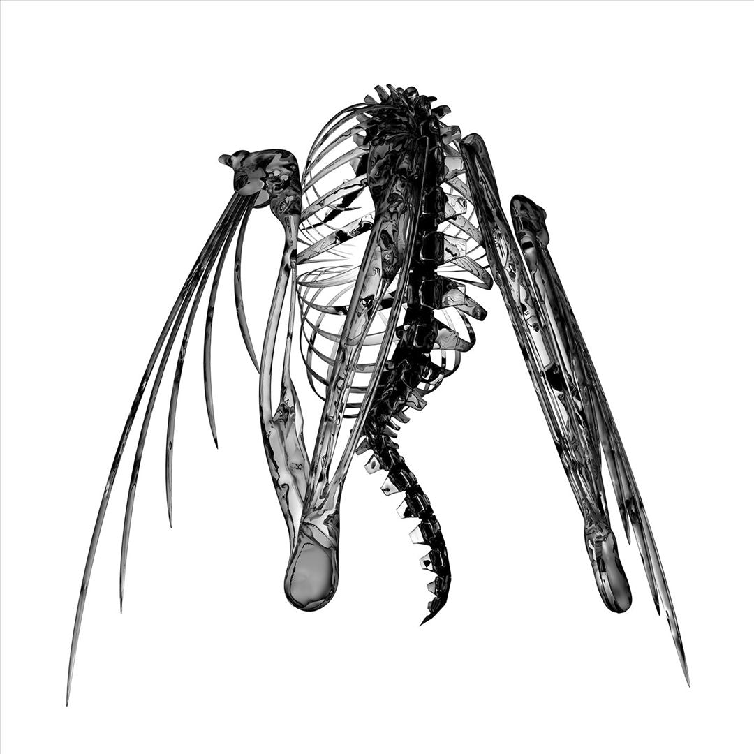 Heterocetera cover art