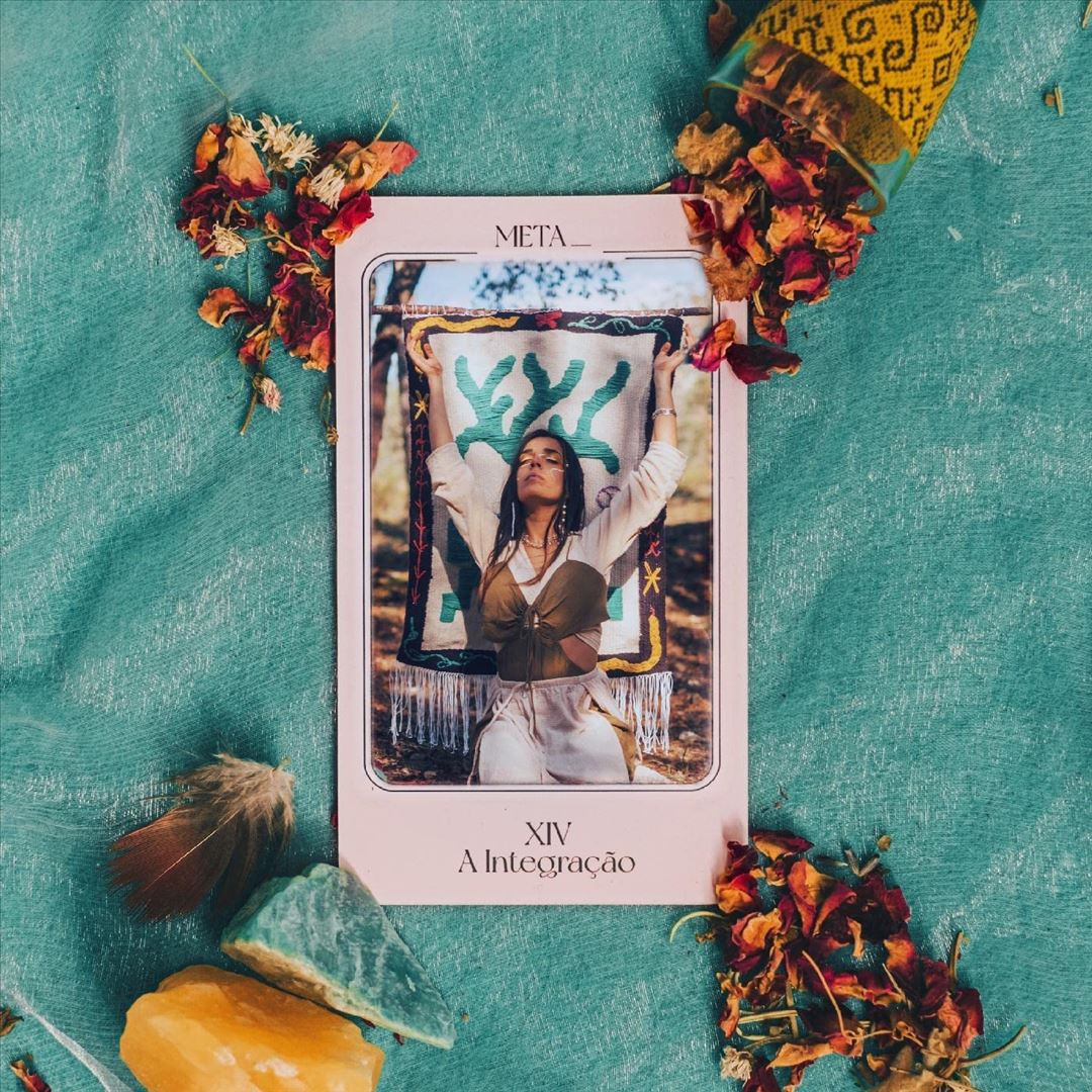 XIV: A Integracao cover art
