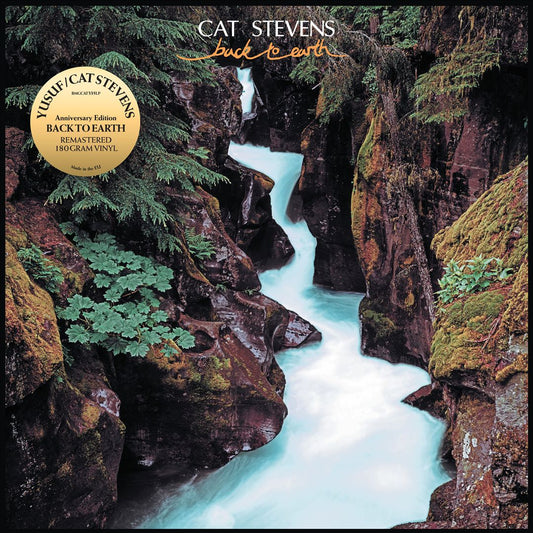 Back To Earth cover art