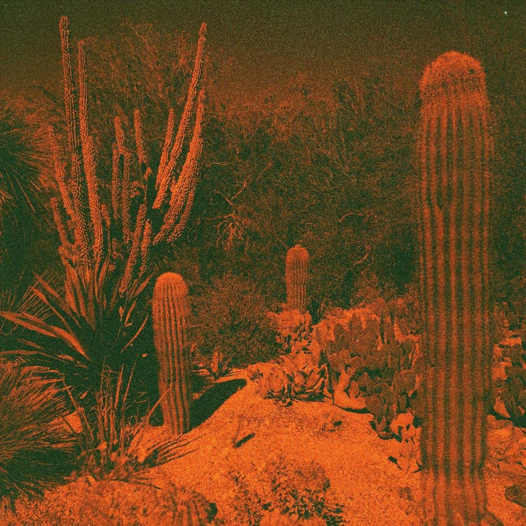 Anticipation cover art