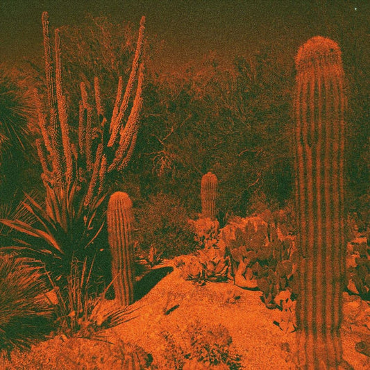 Anticipation cover art