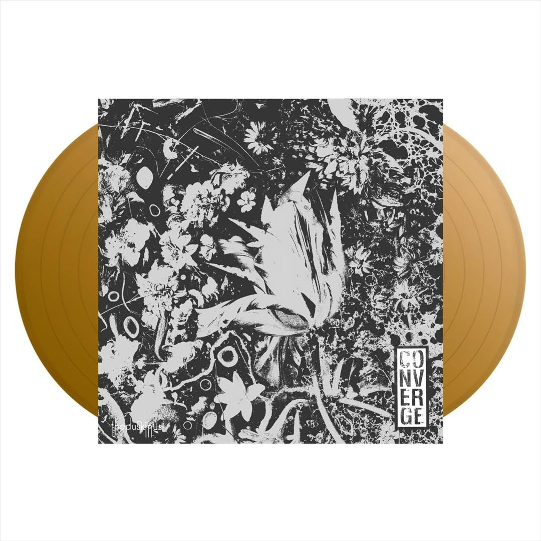 The Dusk in Us [Deluxe Edition] cover art
