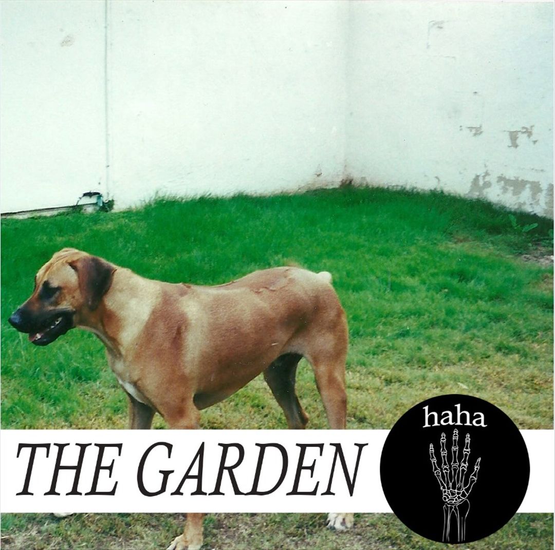 Haha [LP] cover art
