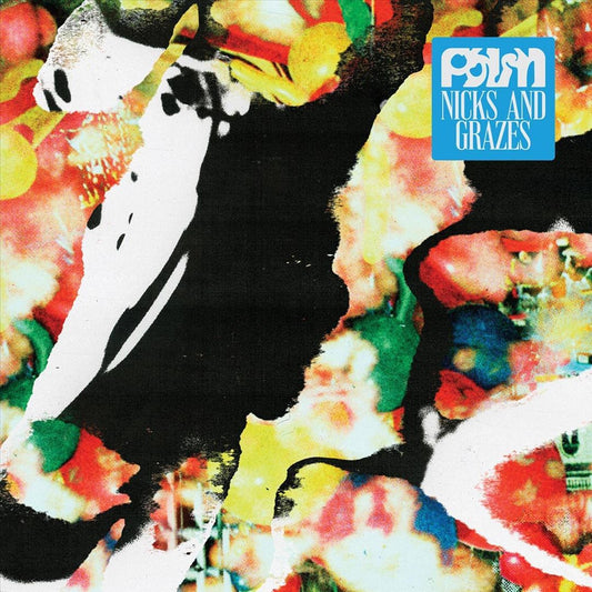 Nicks and Grazes cover art