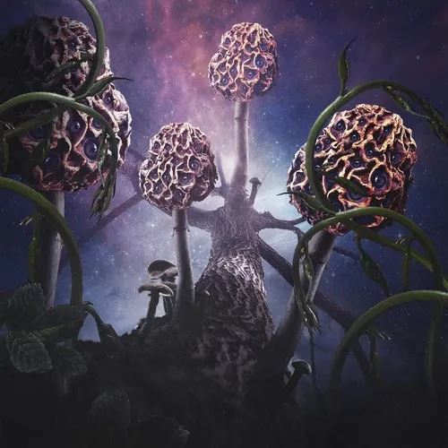 Hallucinogen cover art
