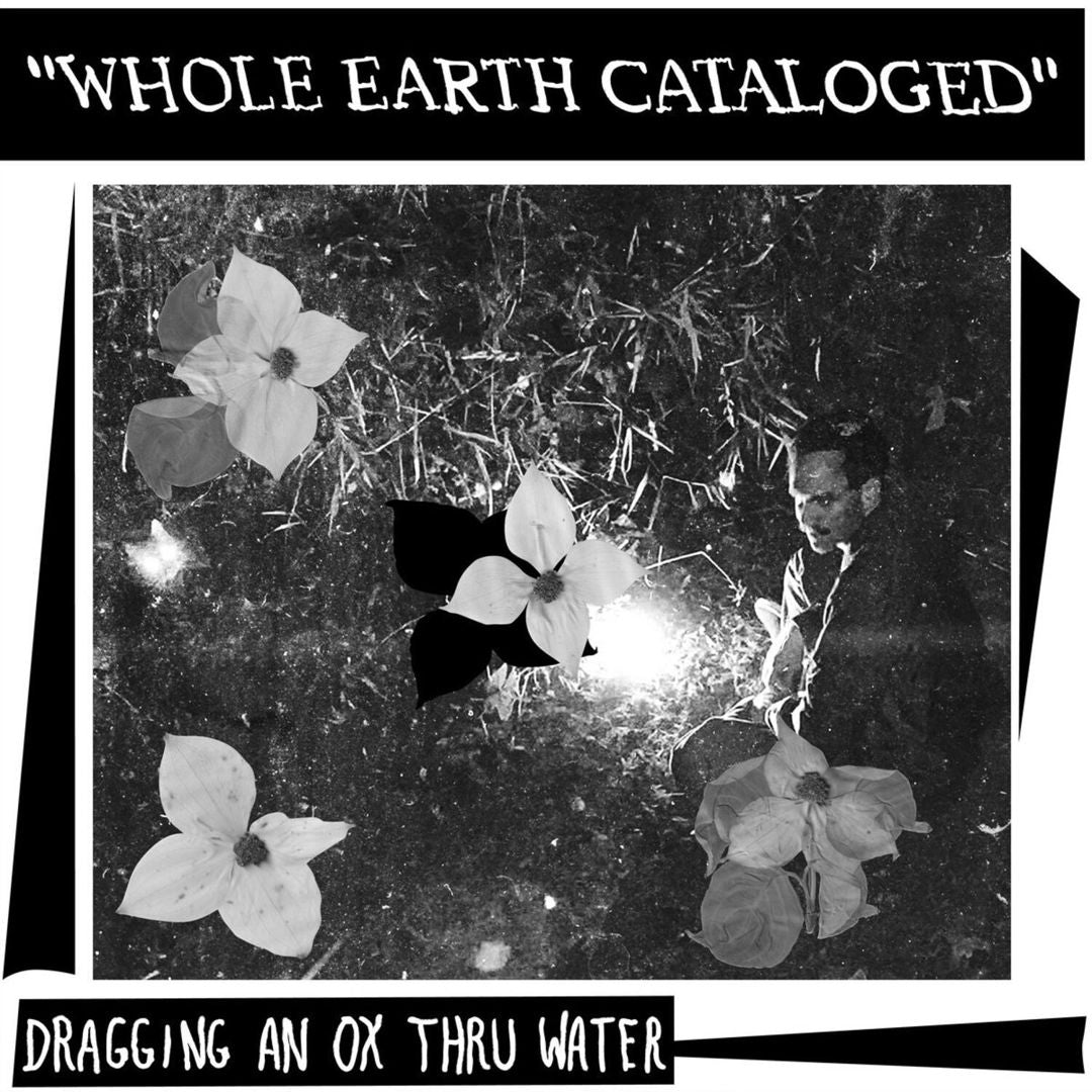Whole Earth Catalogued cover art