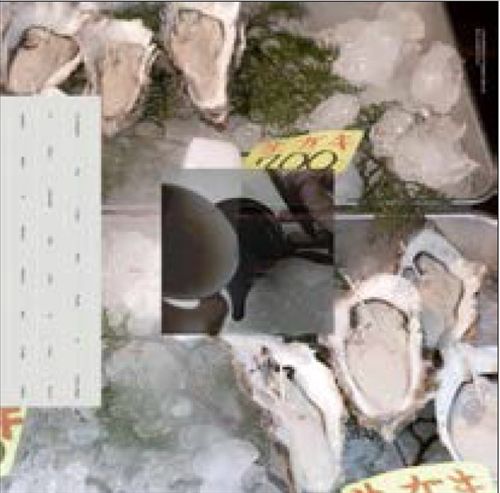 Buy Corals Online cover art