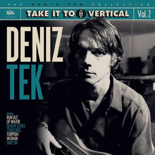 Take It to the Vertical cover art