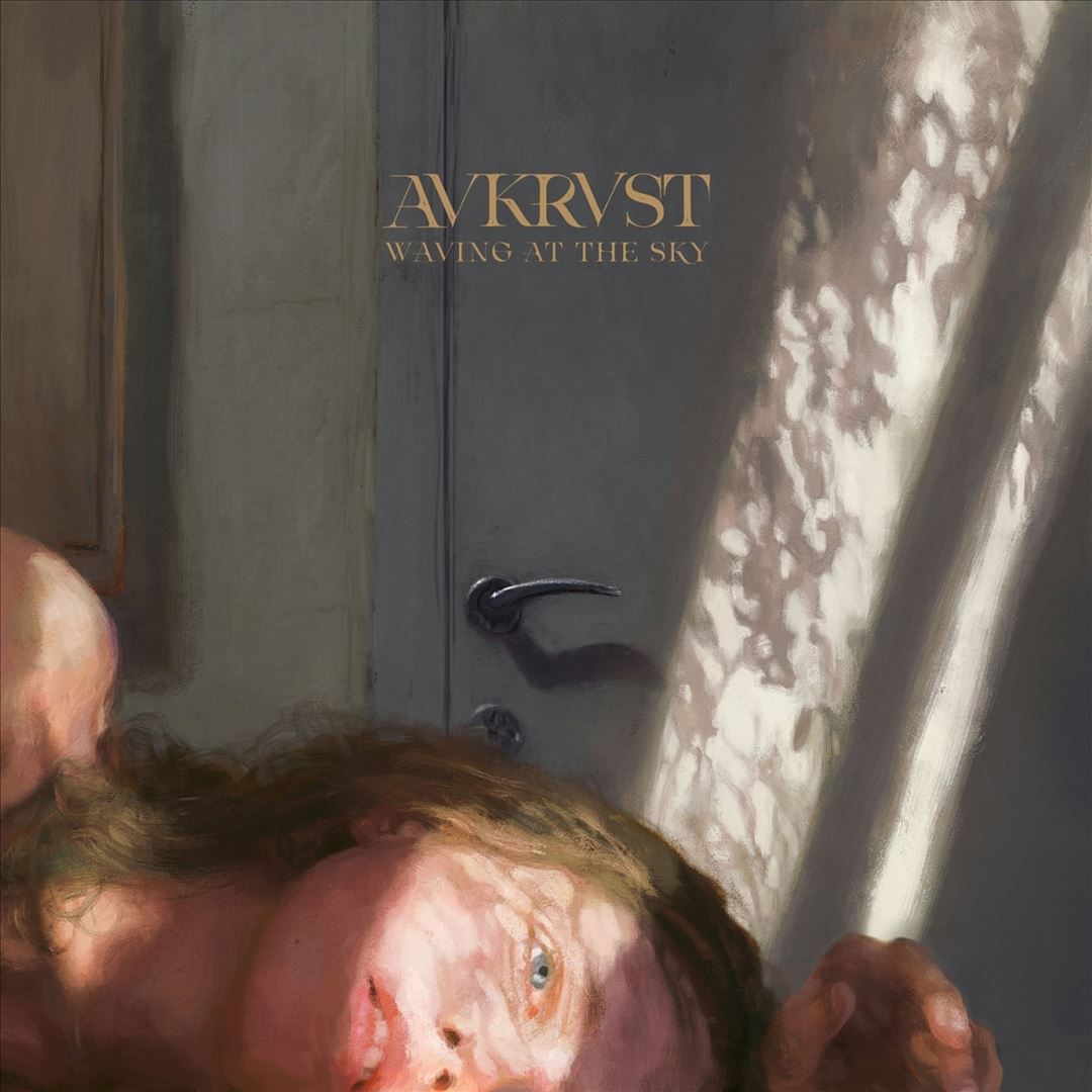 Waving at the Sky cover art