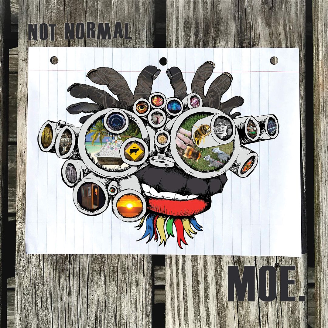 Not Normal cover art