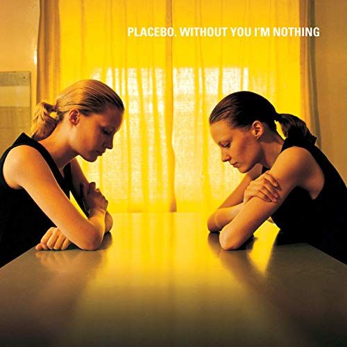 Without You I'm Nothing cover art