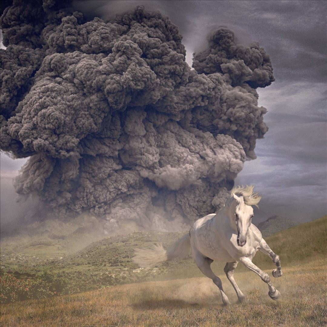 Year Of The Dark Horse [Transparent Blue LP]  cover art