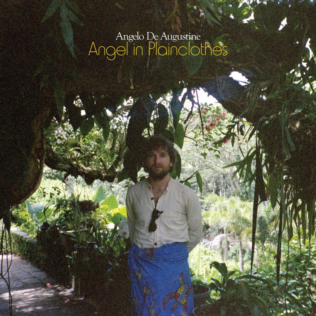 Angel in Plainclothes cover art