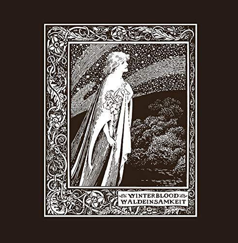 Waldeinsamkeit cover art
