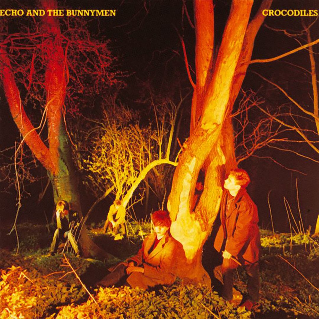 Crocodiles cover art