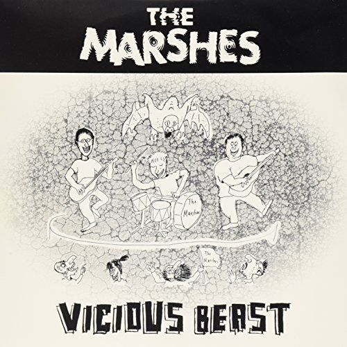 Vicious Beast cover art