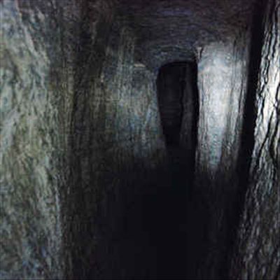 Tunnel Vision cover art