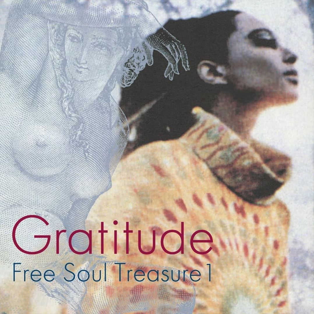 Gratitude: Suburbia Meets Ultra-Vybe 1 cover art