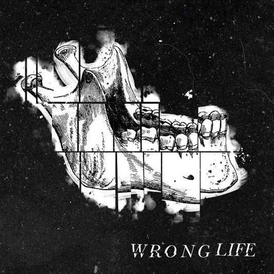 Wrong Life cover art