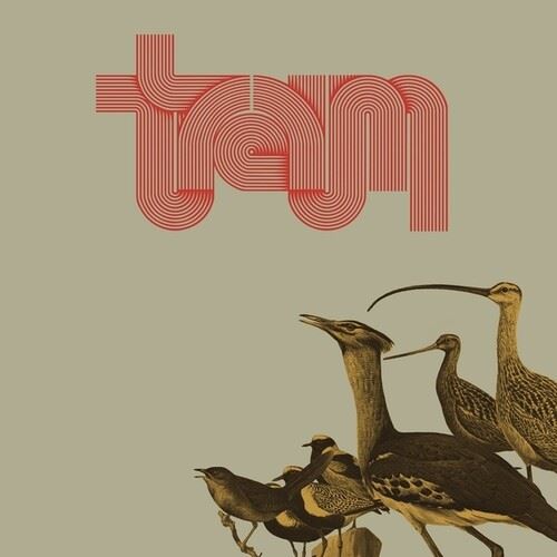 Traum cover art