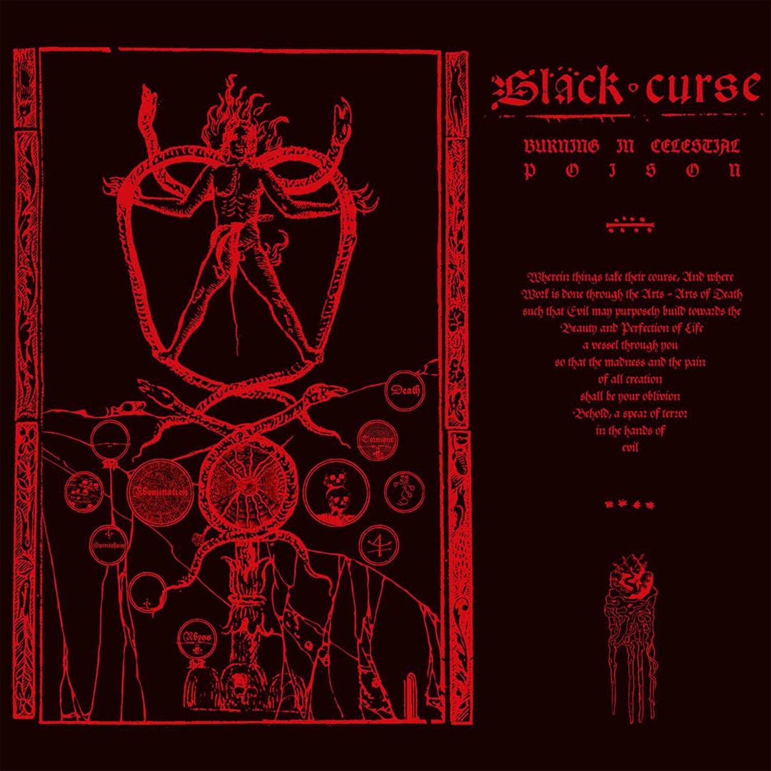 Burning in Celestial Poison cover art